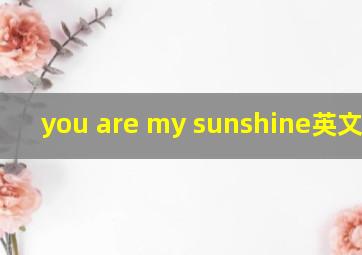 you are my sunshine英文儿歌